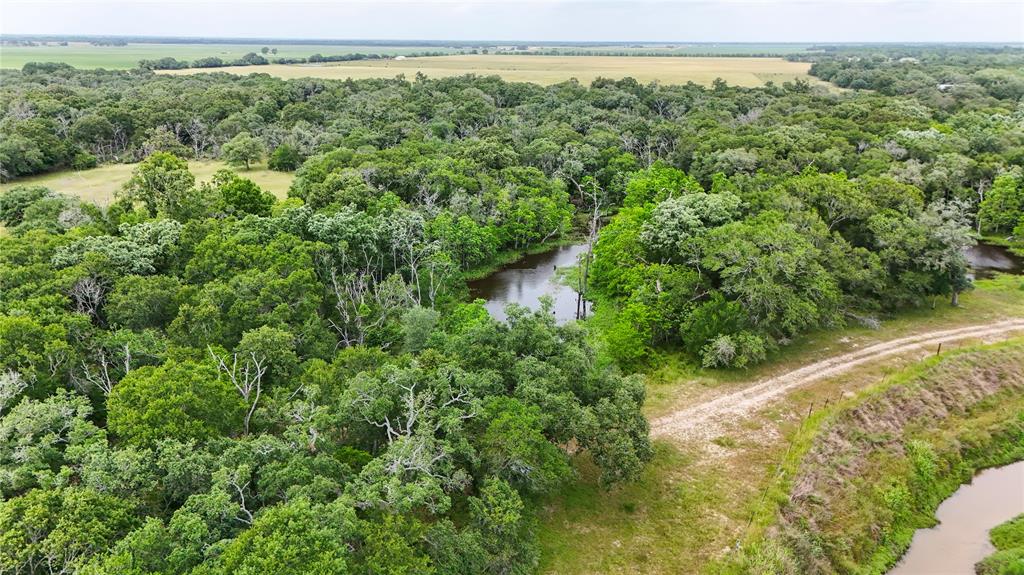 4680 County Road 319 Rd, Louise, Texas image 13