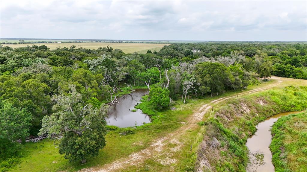 4680 County Road 319 Rd, Louise, Texas image 16