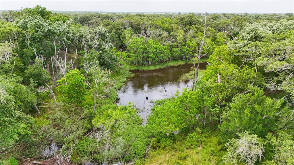 4680 County Road 319 Rd, Louise, Texas image 14