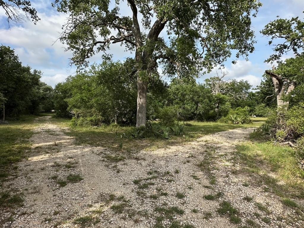 4680 County Road 319 Rd, Louise, Texas image 22