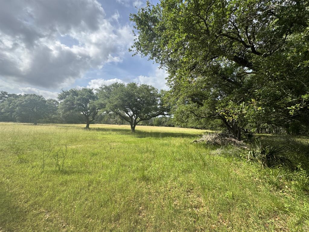 4680 County Road 319 Rd, Louise, Texas image 46