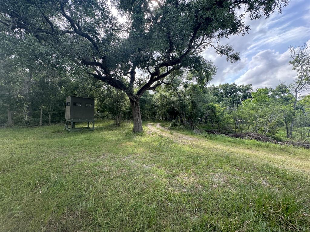 4680 County Road 319 Rd, Louise, Texas image 48