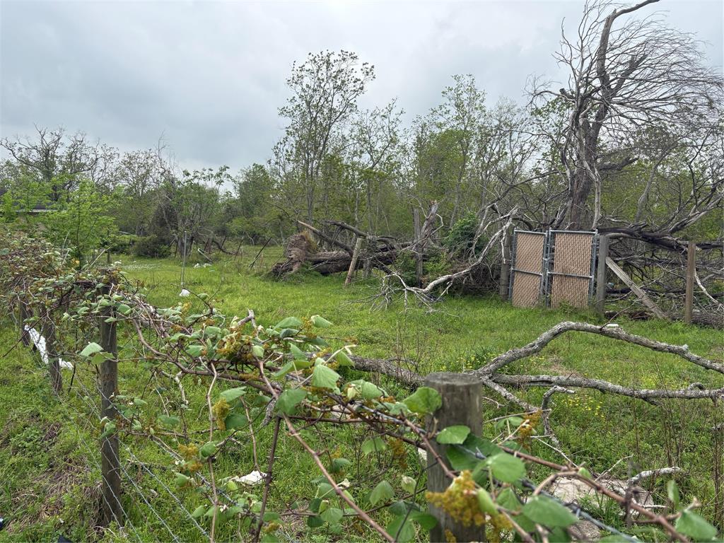 Linden Street, Fresno, Texas image 3