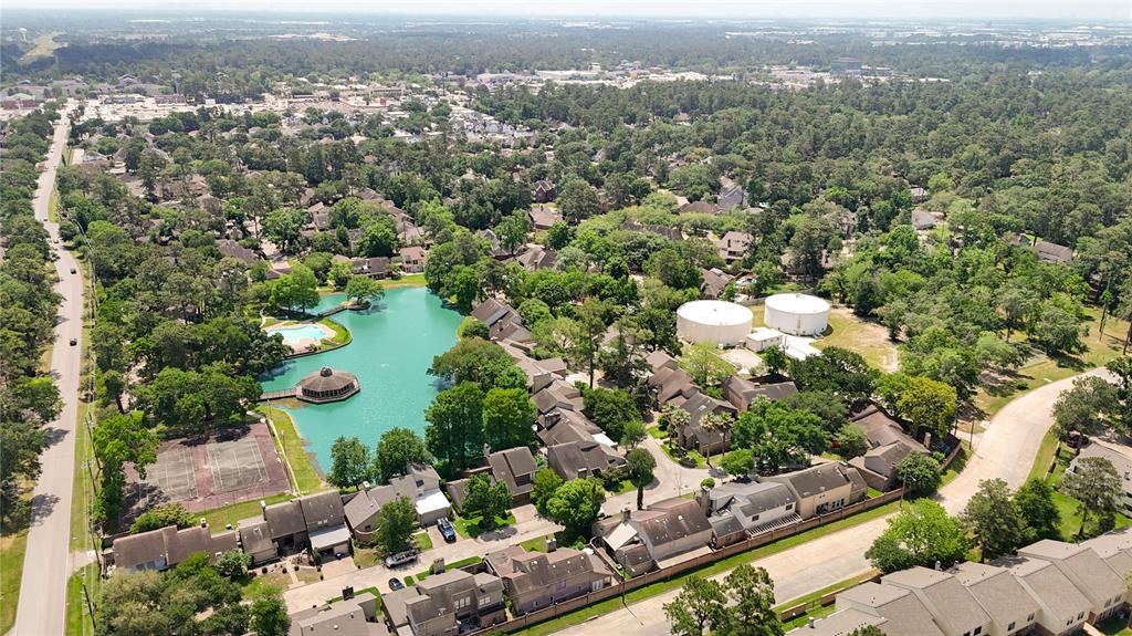 201 Old Bridge Lake, Houston, Texas image 19