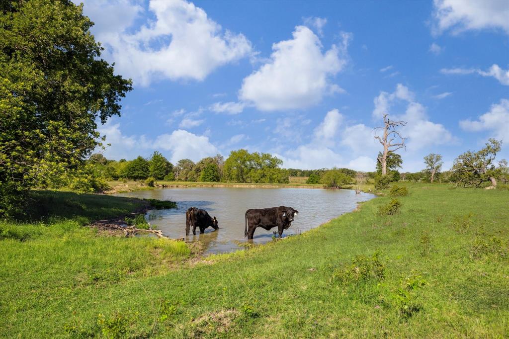 10680 County Road 244, Caldwell, Texas image 32