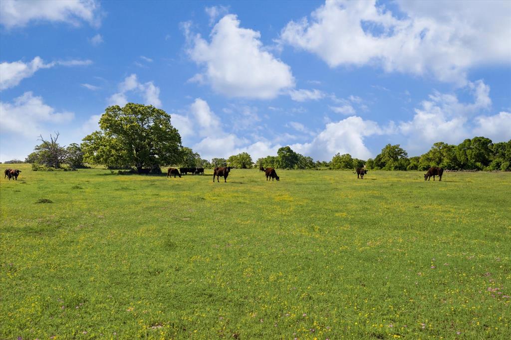 10680 County Road 244, Caldwell, Texas image 33