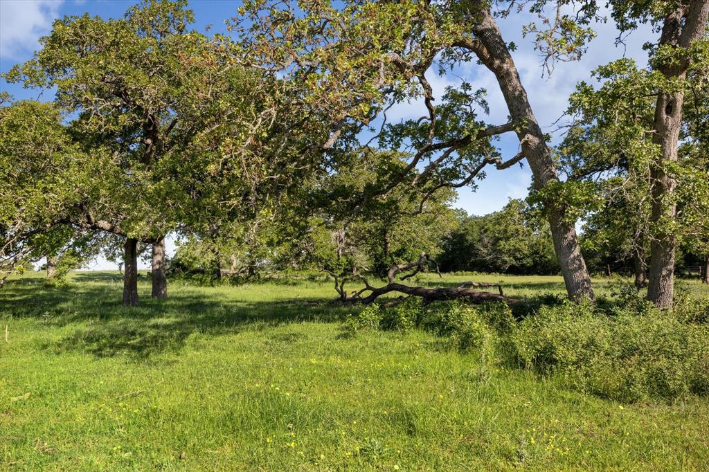 10680 County Road 244, Caldwell, Texas image 35