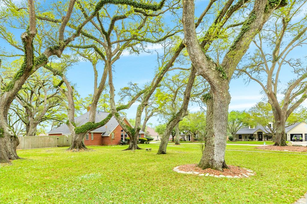 604 Enchanted Oaks Drive, Angleton, Texas image 4
