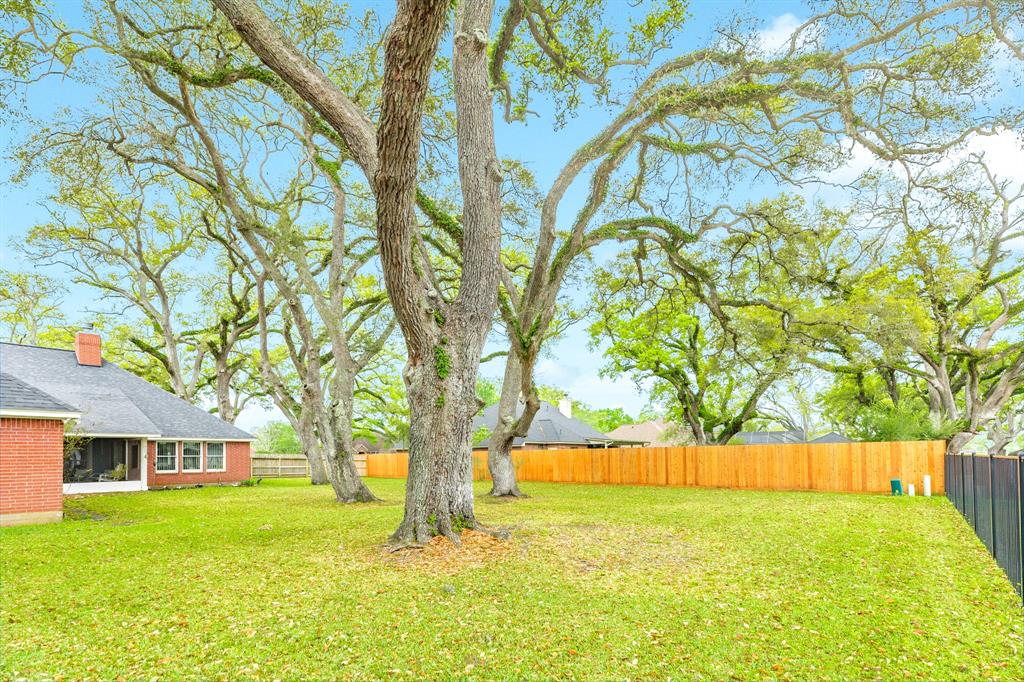 604 Enchanted Oaks Drive, Angleton, Texas image 26