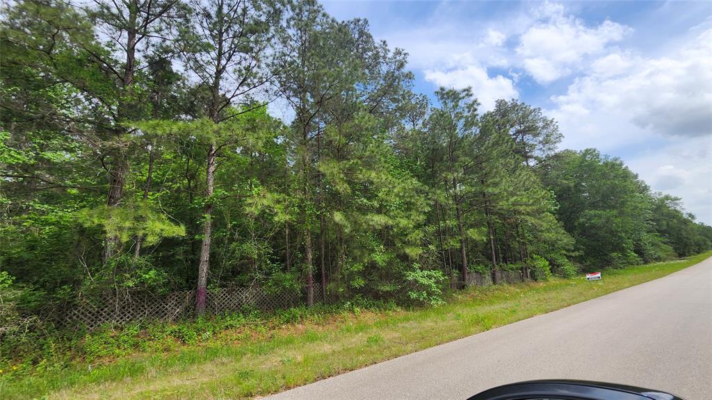 TBD Hindo, Conroe, Texas image 5