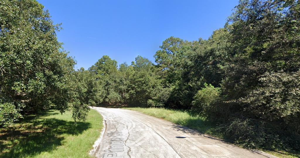 0000 Pindo Circle, Beaumont, Texas image 3