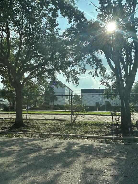 Cabell Street, Houston, Texas image 3
