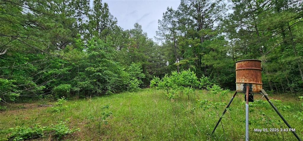 TBD County Road 3230