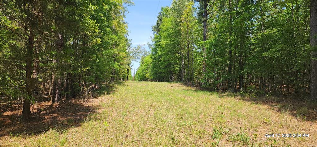 TBD County Road 3230