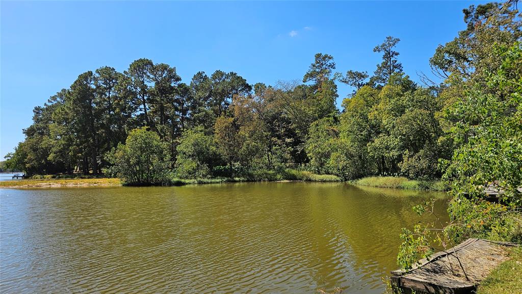 2511 W Green Briar Drive, Huntsville, Texas image 1