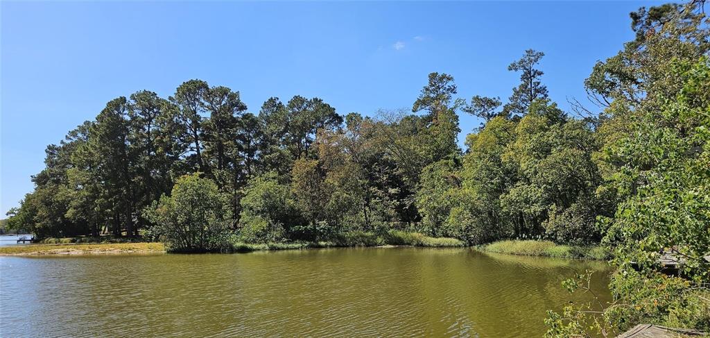 2511 W Green Briar Drive, Huntsville, Texas image 2