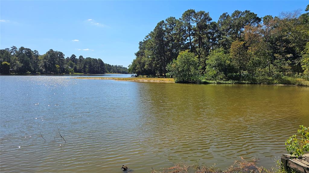 2511 W Green Briar Drive, Huntsville, Texas image 3