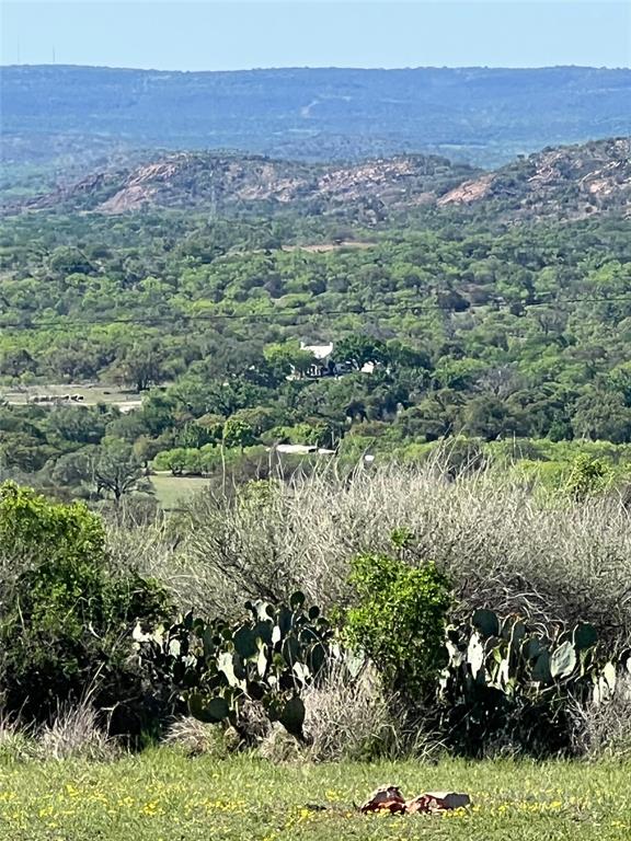 1130 Crownover Lane, Round Mountain, Texas image 42