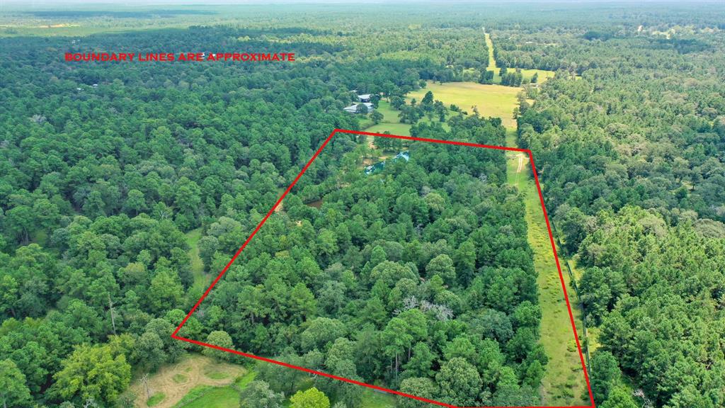 11.8 Acres Rockin L Lane, Navasota, Texas image 3