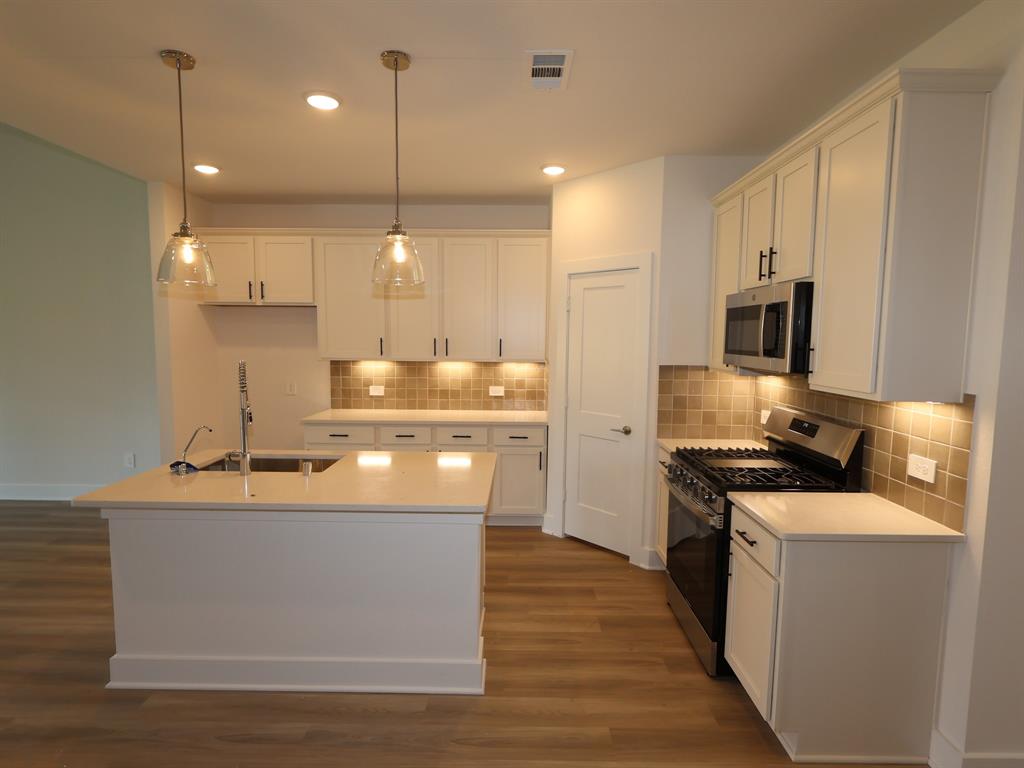 17303 Silver Birch Court, New Caney, Texas image 2