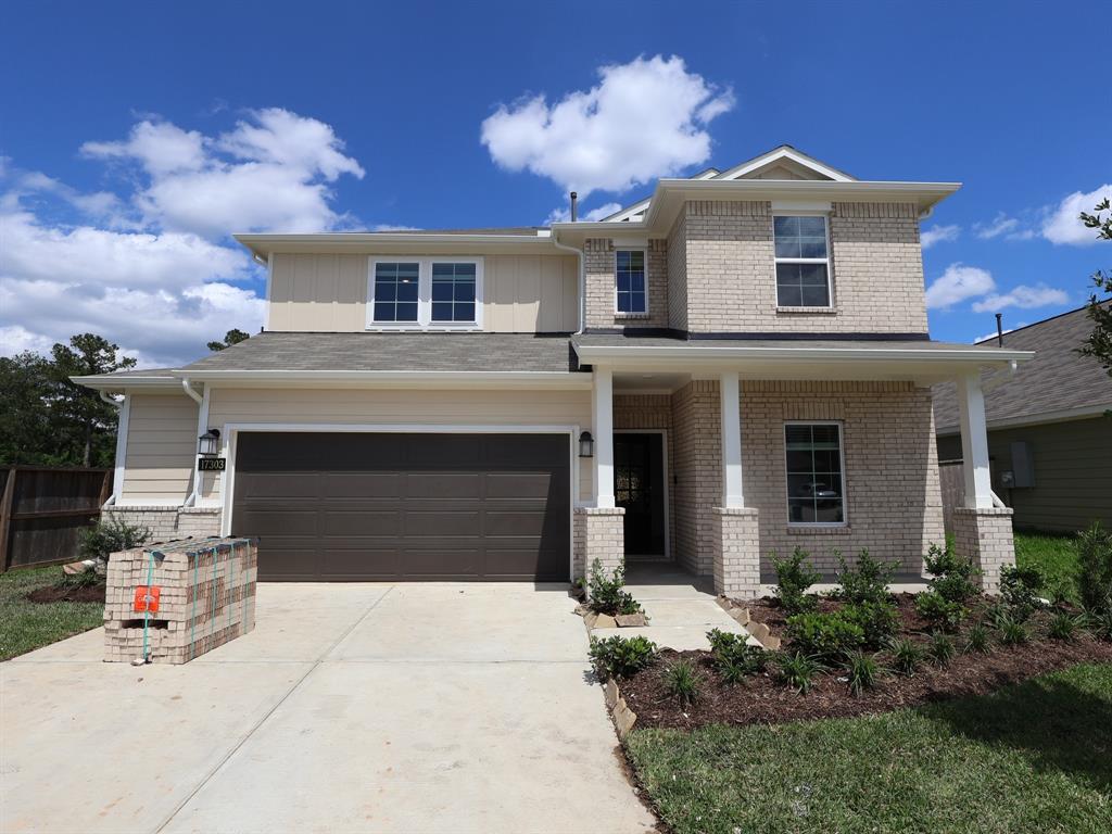 17303 Silver Birch Court, New Caney, Texas image 1