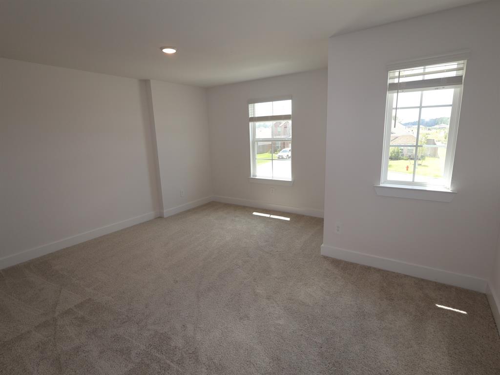 17303 Silver Birch Court, New Caney, Texas image 23