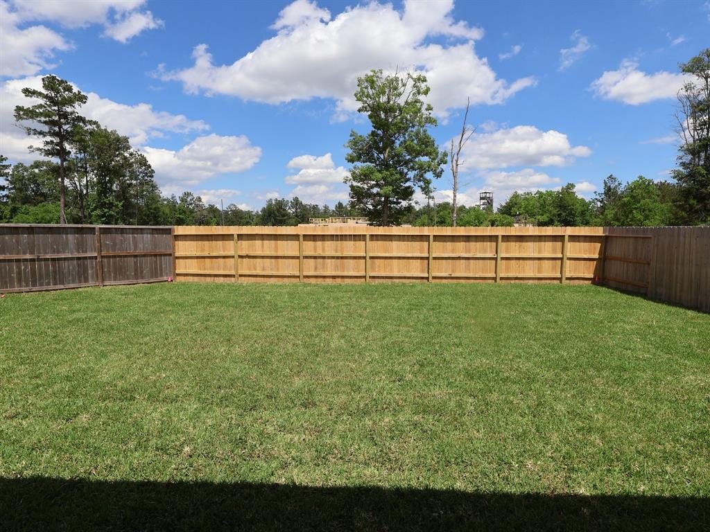 17303 Silver Birch Court, New Caney, Texas image 35