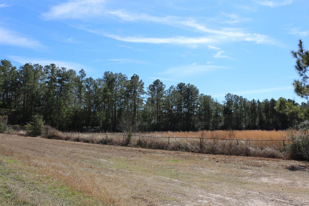 7-2 N Hwy 356, Onalaska, Texas image 8