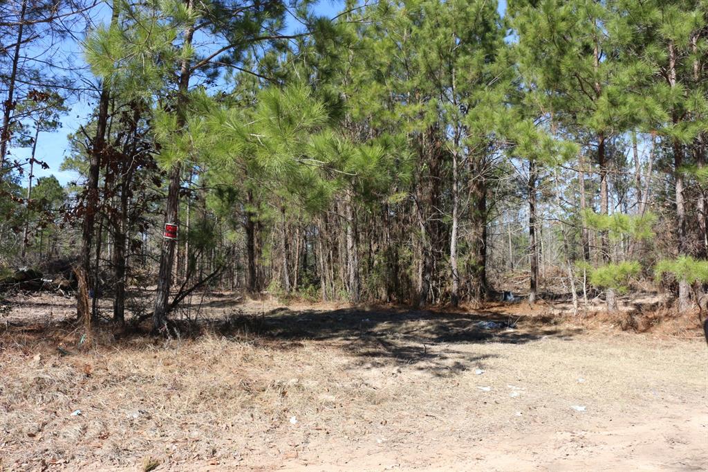 7-2 N Hwy 356, Onalaska, Texas image 39