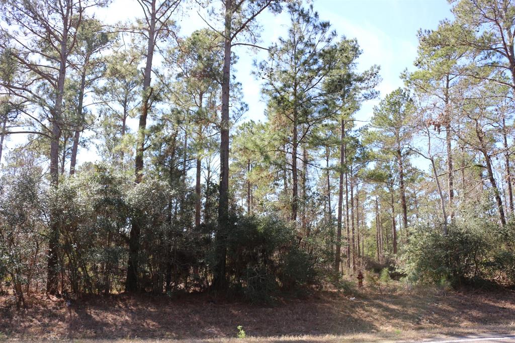 7-2 N Hwy 356, Onalaska, Texas image 6