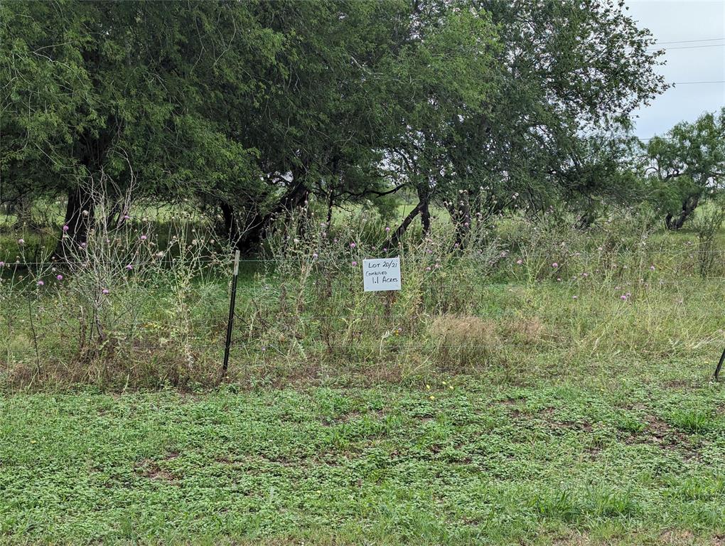 72 Acres State Highway 281, Premont, Texas image 12