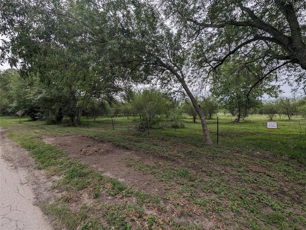 72 Acres State Highway 281, Premont, Texas image 28