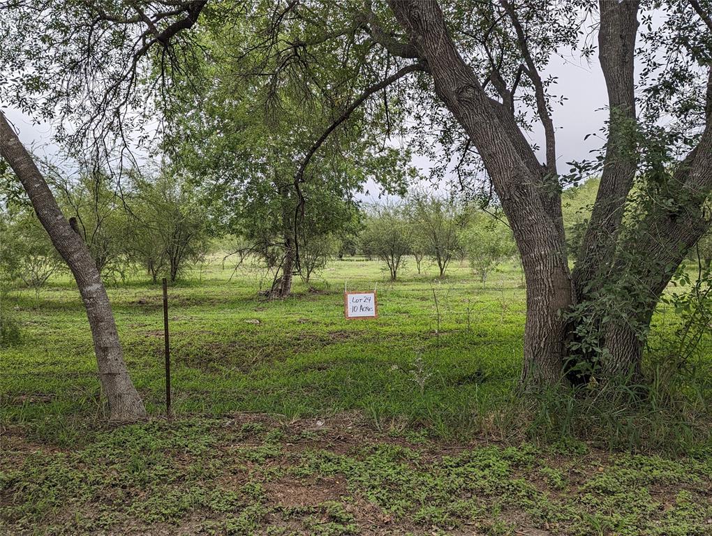 72 Acres State Highway 281, Premont, Texas image 26