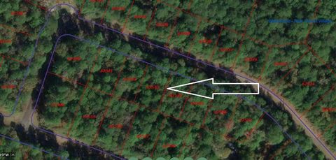 Vacant Land For Sale - 24509 Birch Court<br/> Huntsville, TX 77320