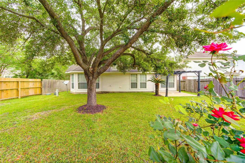 6318 Big Oak Canyon Drive, Richmond, Texas image 4