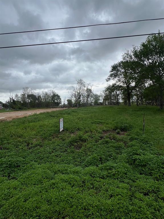 514 E Davitt Street, Eagle Lake, Texas image 1
