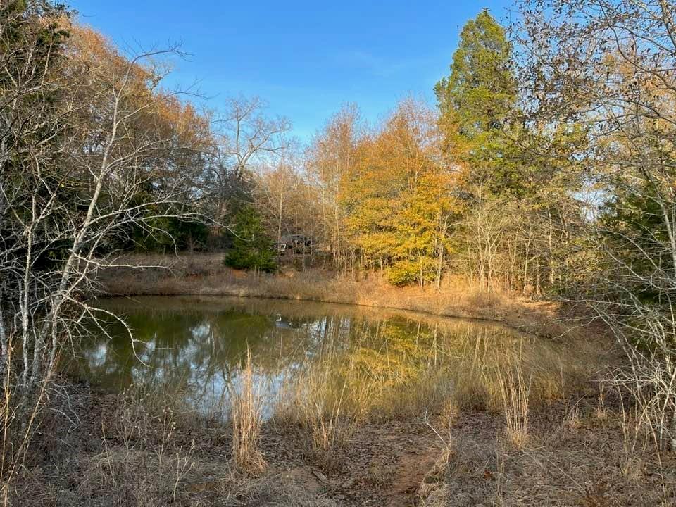 Lot 41 County Road 389, Jewett, Texas image 1