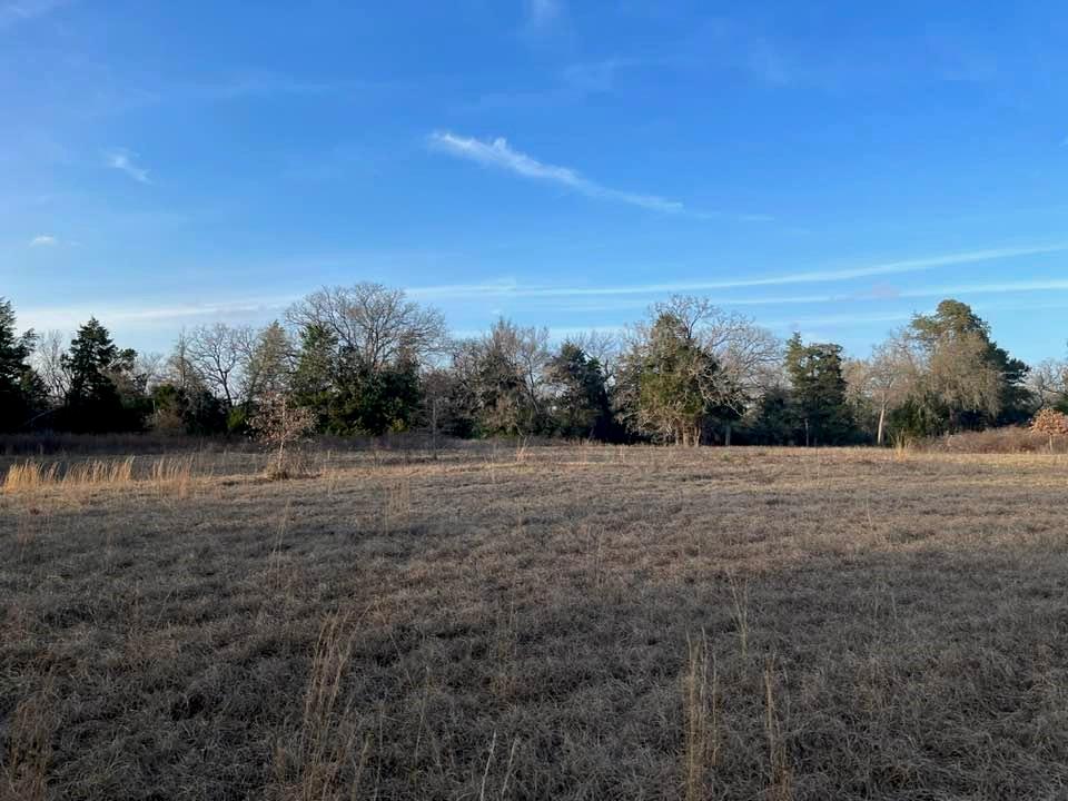 Lot 41 County Road 389, Jewett, Texas image 7