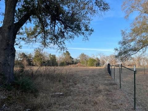 Lot 41 County Road 389, Jewett, Texas image 6