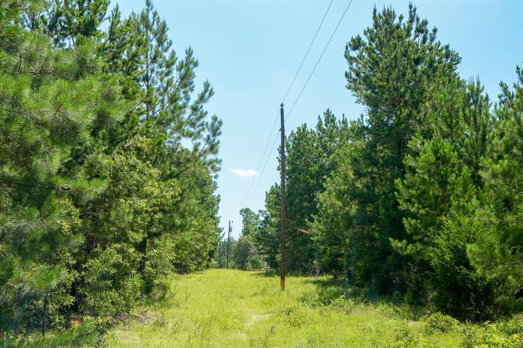 TBD 1 County Rd 3271, Mount Enterprise, Texas image 14