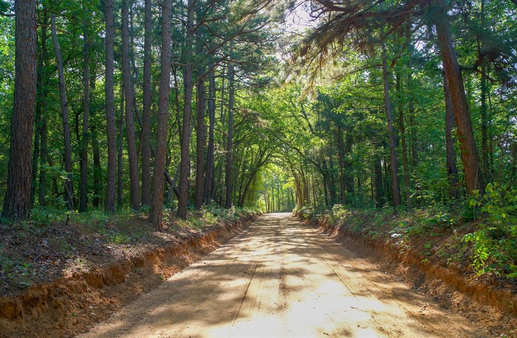 TBD 1 County Rd 3271, Mount Enterprise, Texas image 1