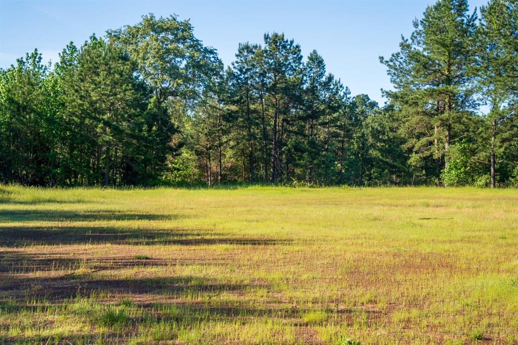 TBD 1 County Rd 3271, Mount Enterprise, Texas image 6