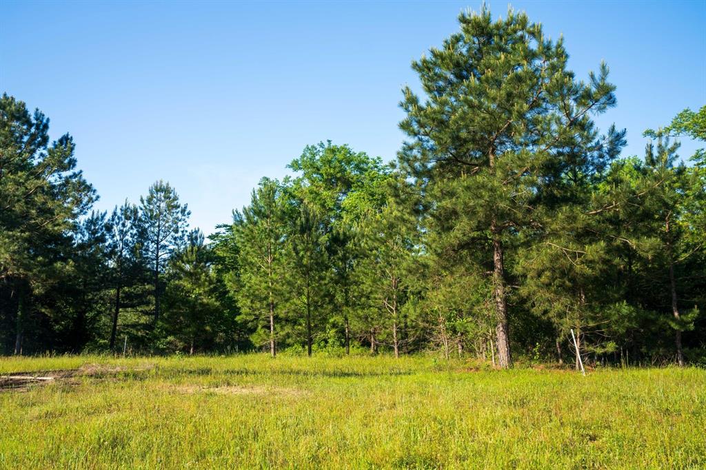 TBD 1 County Rd 3271, Mount Enterprise, Texas image 4