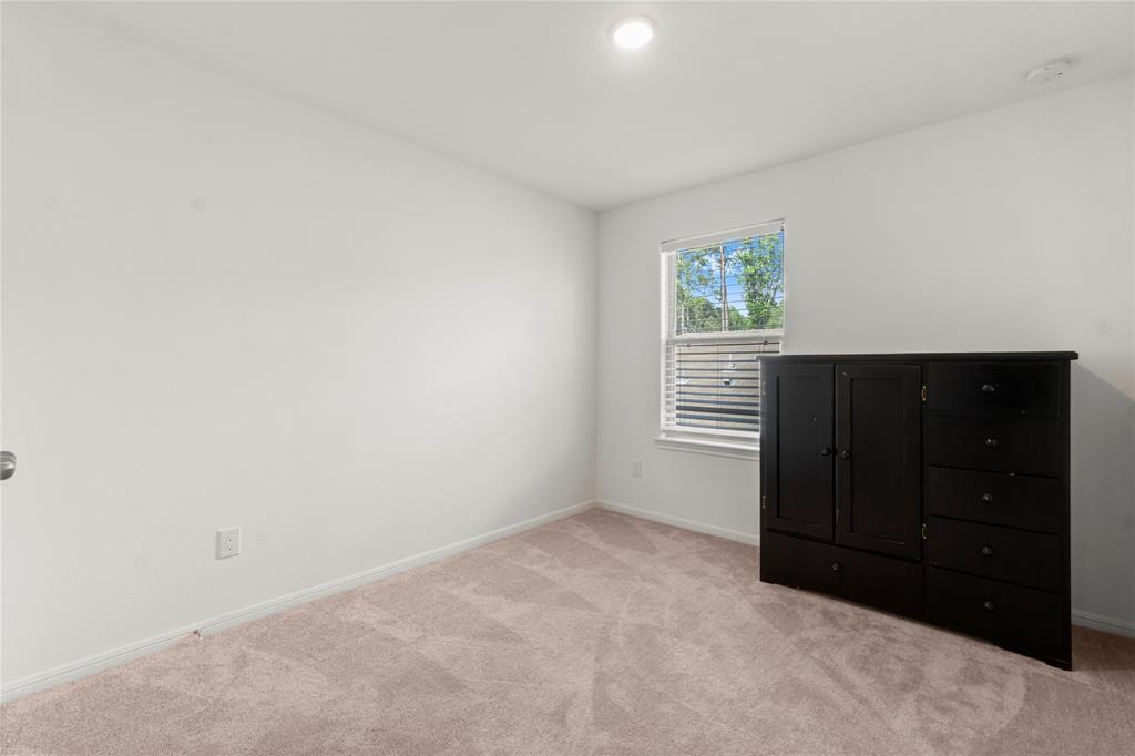247 Pine Cavern Drive, Willis, Texas image 19