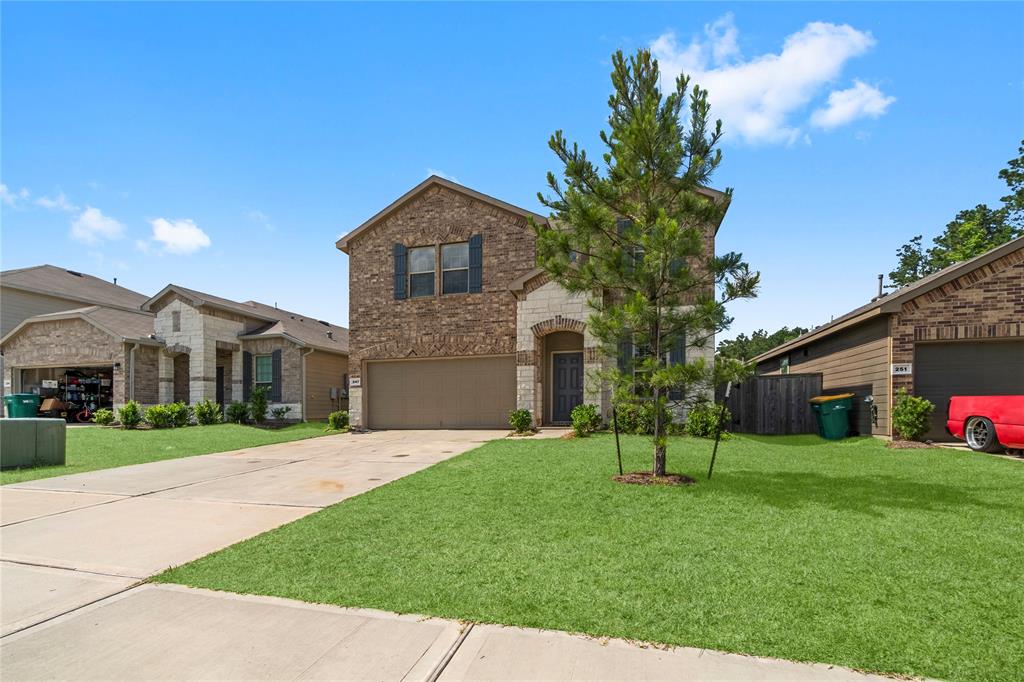 247 Pine Cavern Drive, Willis, Texas image 1
