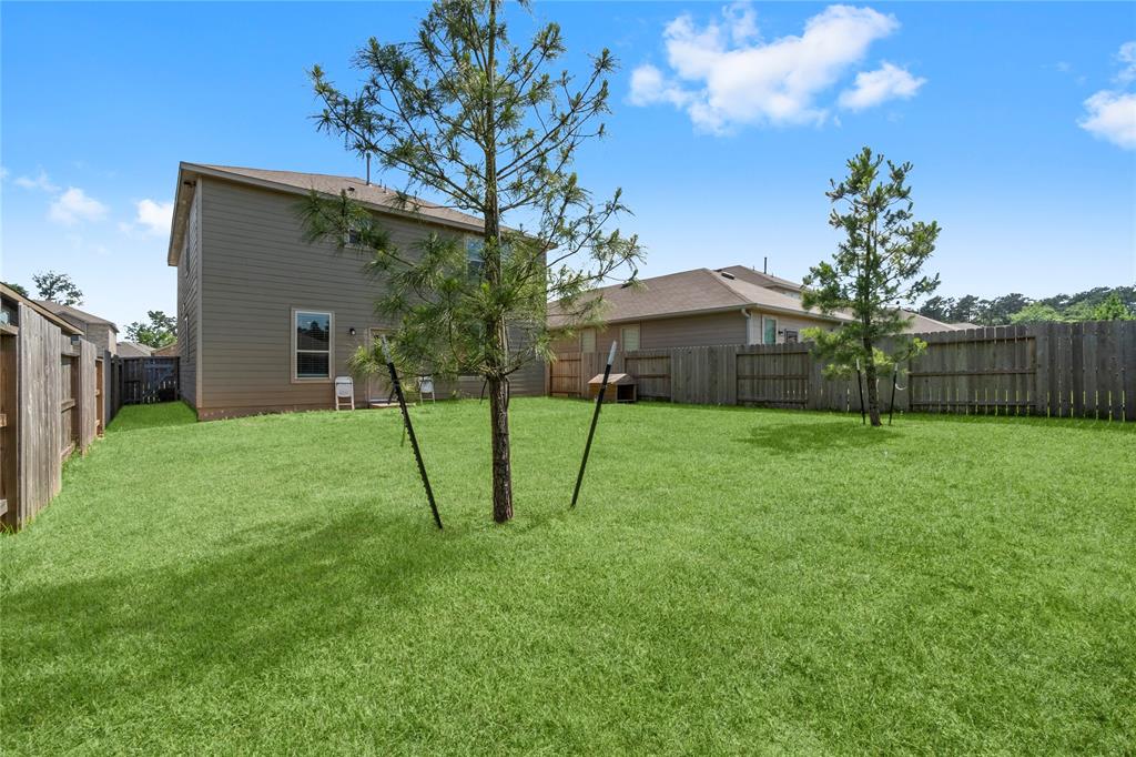 247 Pine Cavern Drive, Willis, Texas image 34