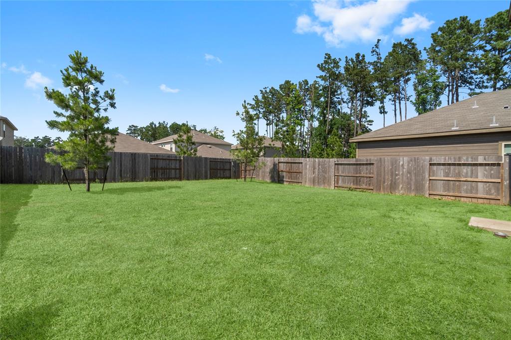 247 Pine Cavern Drive, Willis, Texas image 36