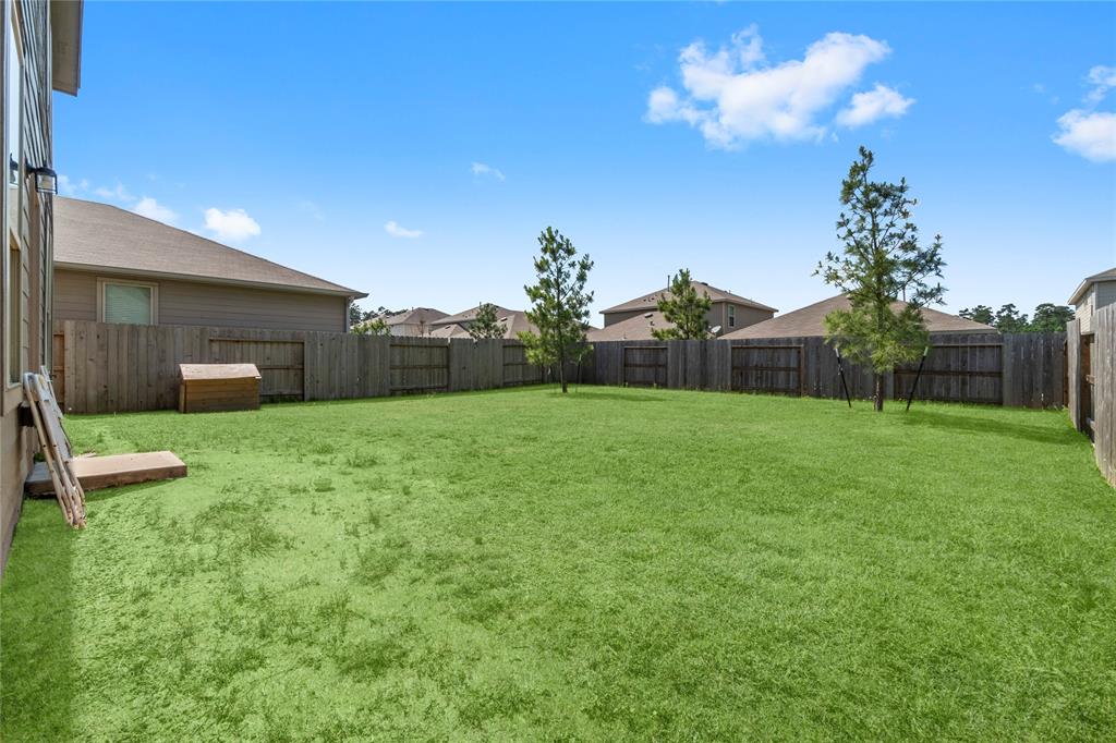 247 Pine Cavern Drive, Willis, Texas image 33