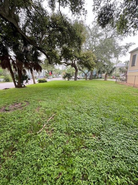 2402 Avenue M, Galveston, Texas image 4