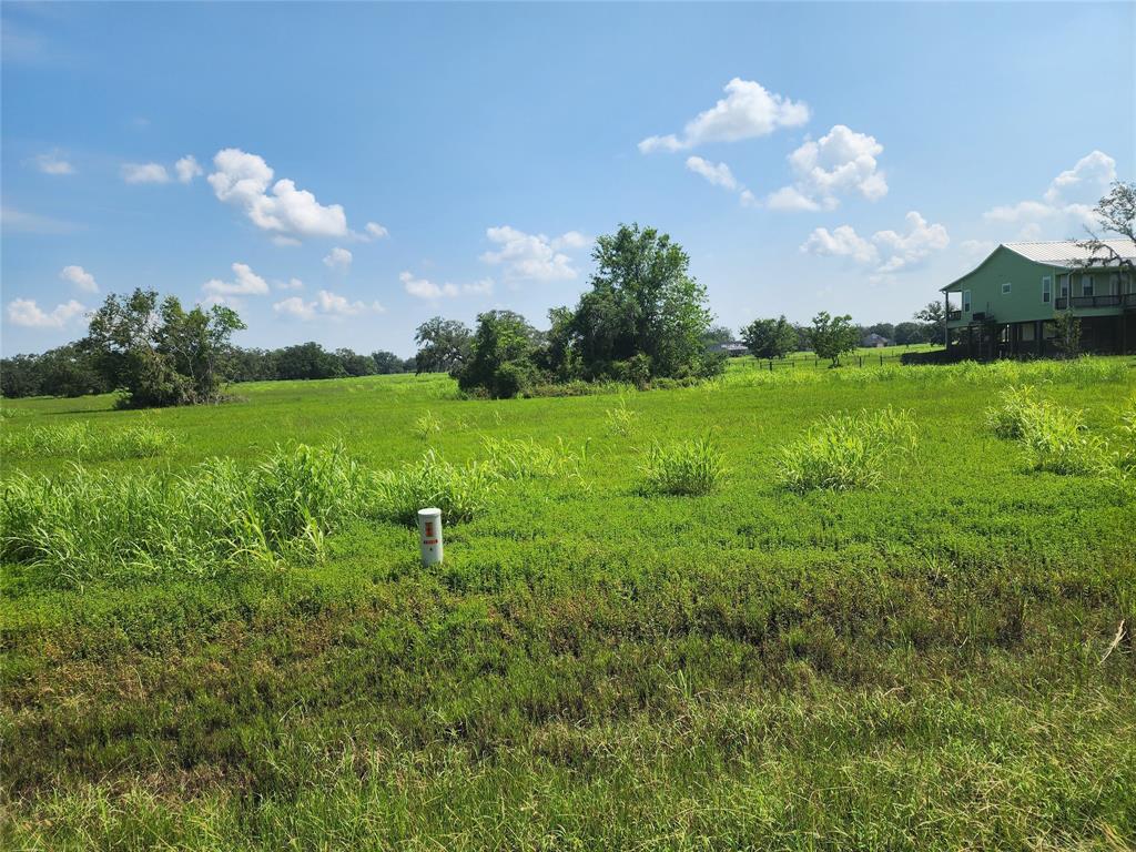 1 Navarro Lane, Grapeland, Texas image 3